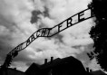 /album/fotogaleria/arbeit-macht-frei-jpeg/