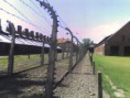 /album/fotogaleria/osviencim-plot-jpg1/