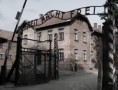 /album/fotogaleria/auschwitz-jpg1/