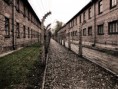 /album/fotogaleria/osviencim-plot-jpg2/
